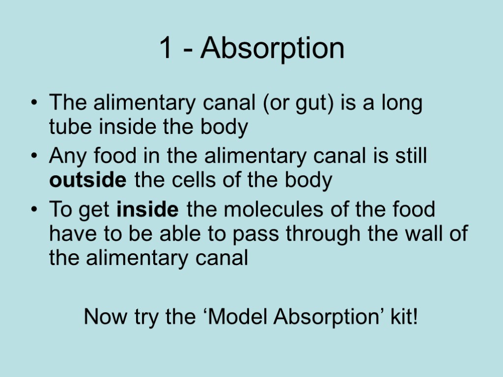 1 - Absorption The alimentary canal (or gut) is a long tube inside the